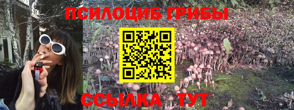 Аша  Псилоцибиновые грибы Cubensis  Галлюциногенные грибы мицелий  Вход с VPN 