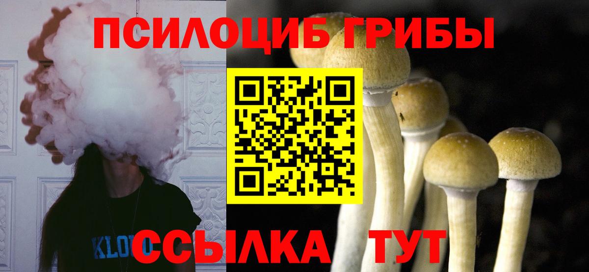 цены   Аша  Галлюциногенные грибы прущие грибы 