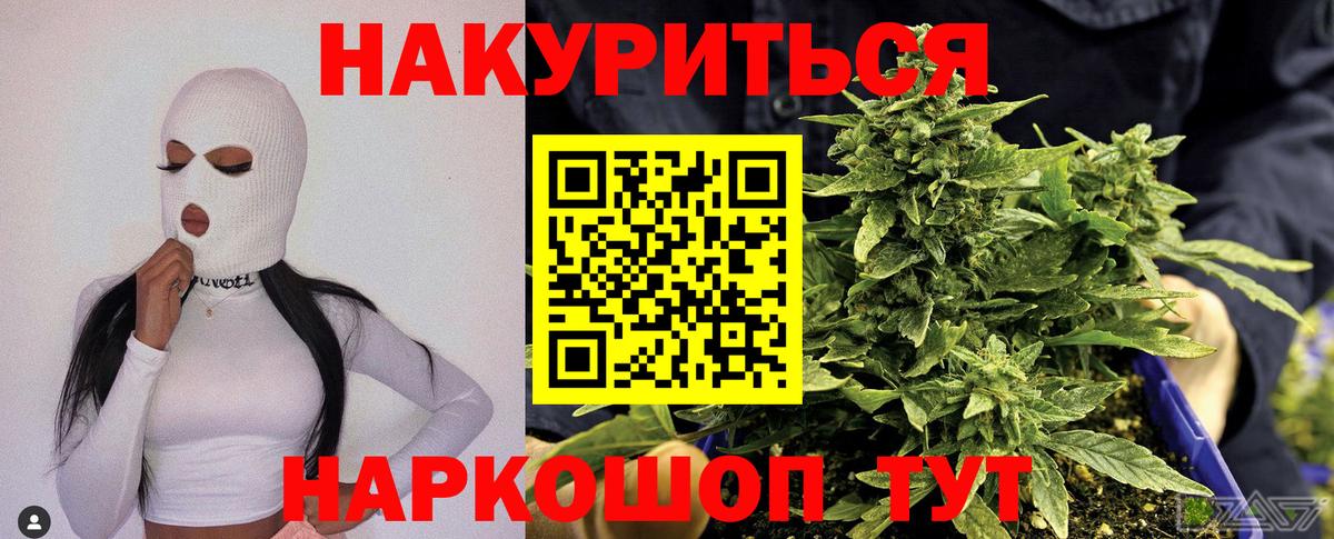 Каннабис конопля Аша